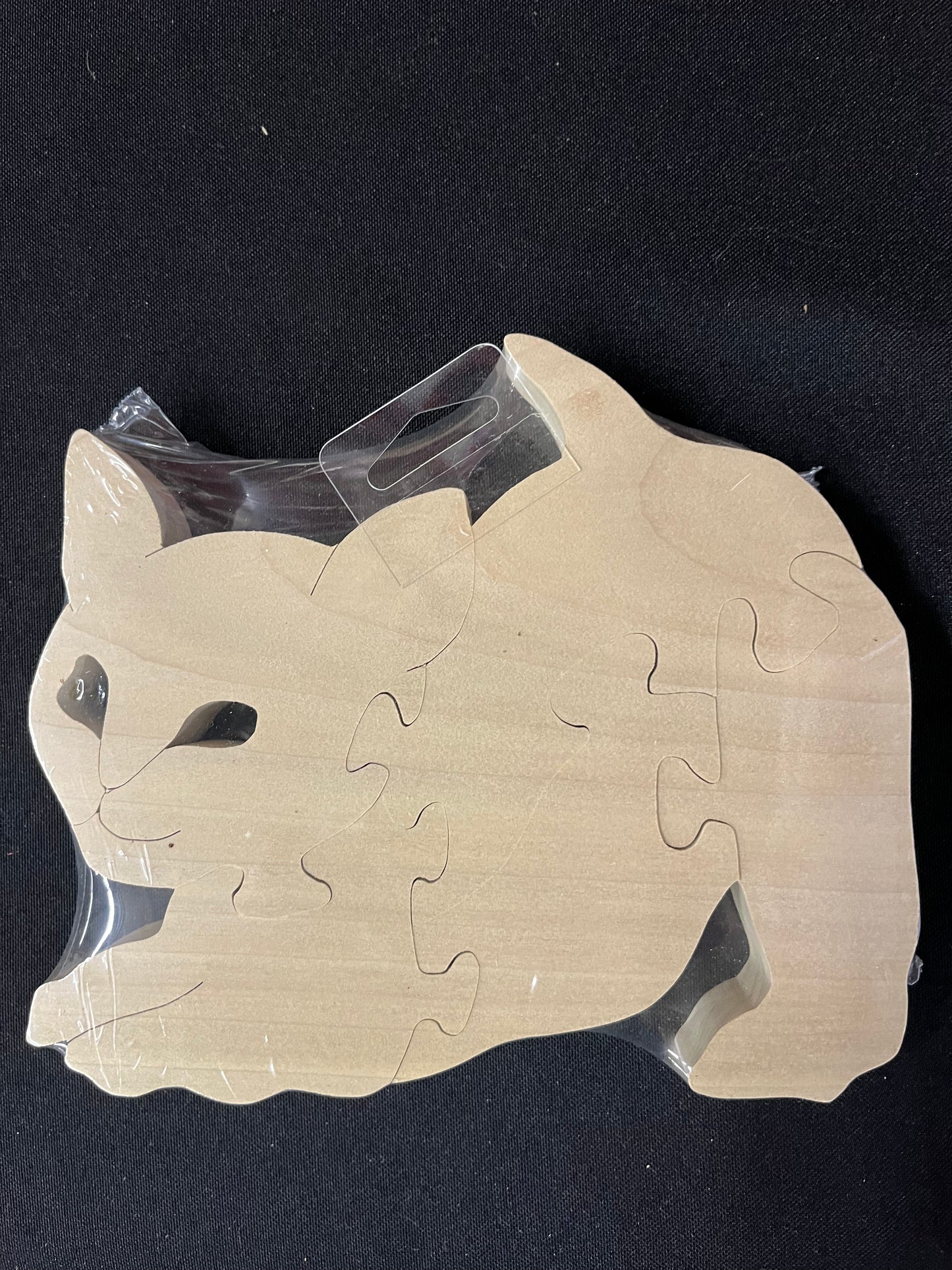 Playful Kitten Puzzle